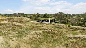 A modern house with a green roof, surrounded by a natural landscape with grass and trees. - Pet friendly home in Saltum with WiFi (Saltum)