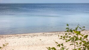 Une plage offrant une vue dégagée sur l’océan et bordée d’un rivage sablonneux.