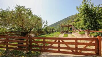 Terrein van de accommodatie