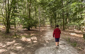 Unclassified image, 5 of 36, button