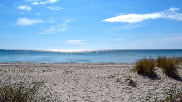 En strand med sand og sparsom vegetation.