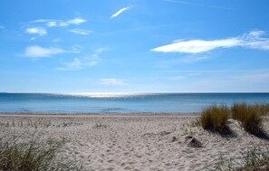En strand med sand och gles vegetation.
