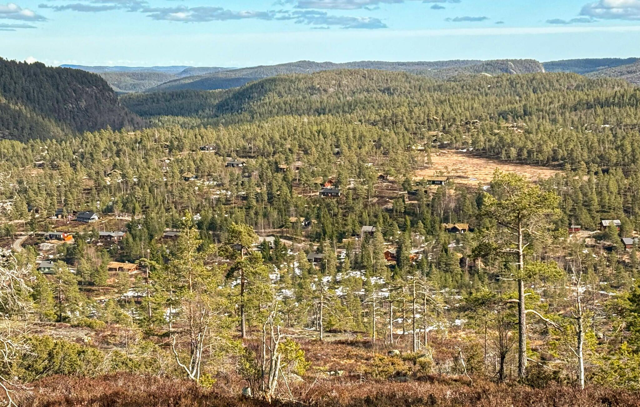 A forested area with scattered cabins and a clear sky.