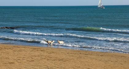 Awesome apartment in Marina di Modica