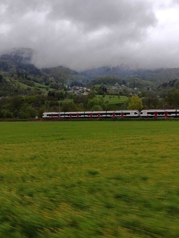 A train moving through a rural landscape with green fields and hills in the background.