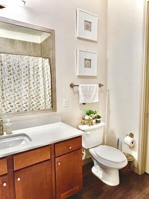 Hair dryer, towels, soap, shampoo