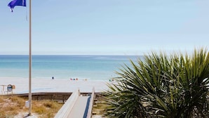 A beach with a wooden walkway leading to the water, a flagpole with a blue flag, and a palm plant in the foreground.