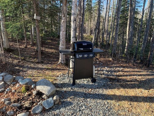 Charming 2 Bedroom Apartment@ Nancy Creek, Willow AK