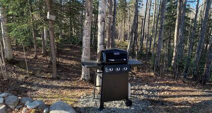 Charming 2 Bedroom Apartment@ Nancy Creek, Willow AK