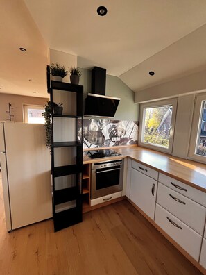 Fridge, oven, stovetop, dishwasher