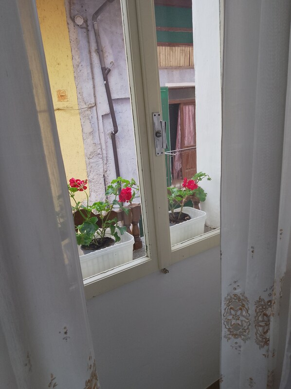A window with potted plants and a view of a building exterior. - Authentic B&B Stella's House (Sabbio Chiese)