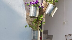 A staircase with multiple potted plants, including flowers and a succulent, against a white wall. - Authentic B&B Stella's House (Sabbio Chiese)