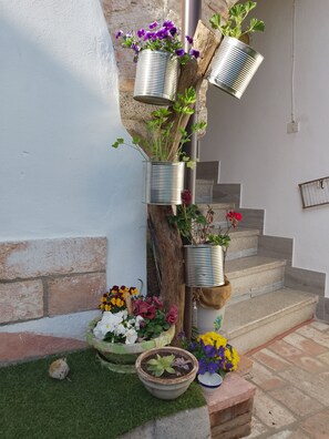 المنطقة المحيطة بالمنشأة