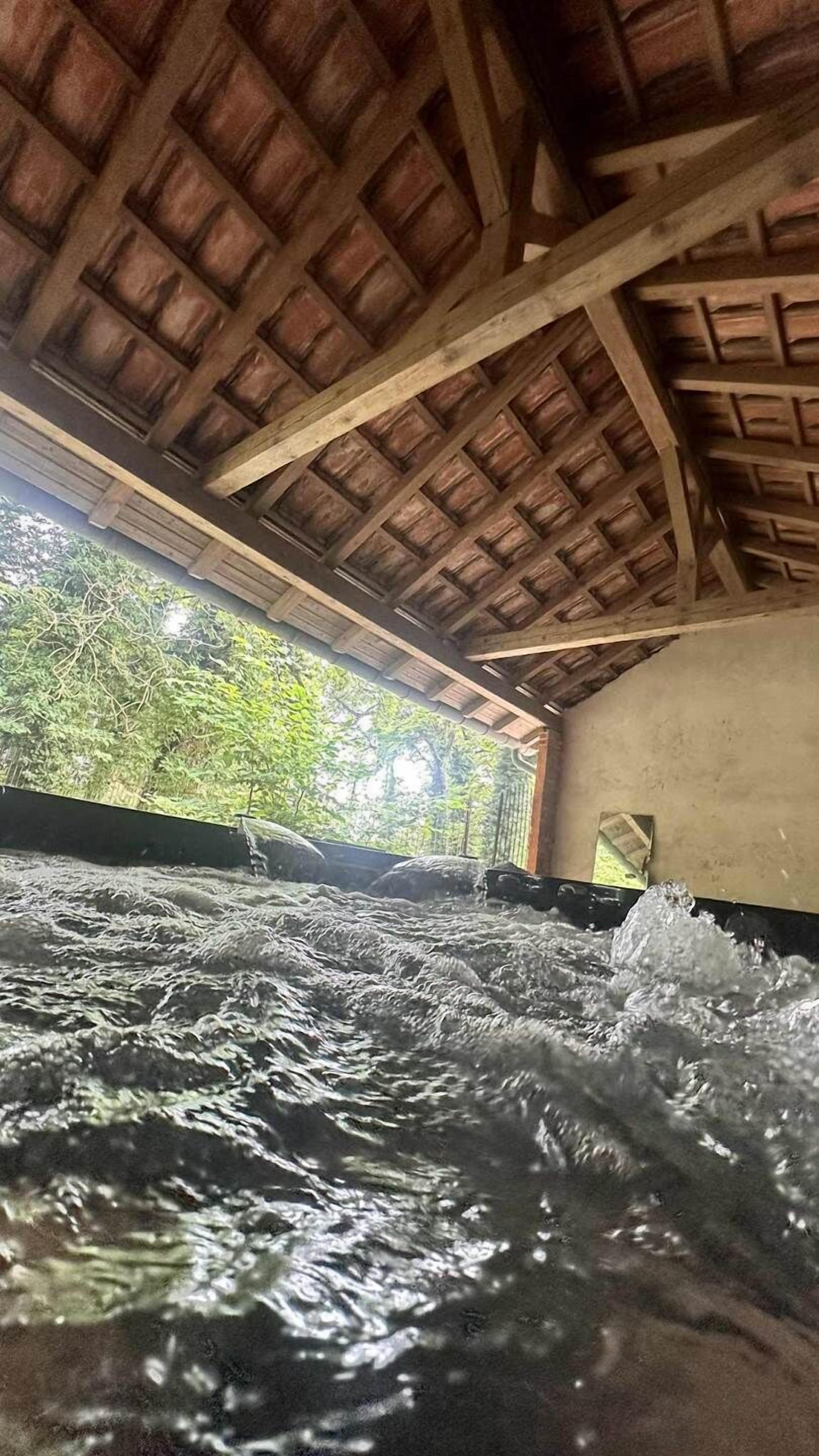 Une pièce avec un plafond en bois et une vue sur une cascade à l’extérieur.