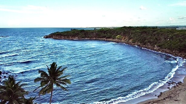 A coastal view with a beach, palm trees, and rocky cliffs. - Cozy Beach Home with Pool, Game Room & Gym – Walk to the Beach (Dorado)