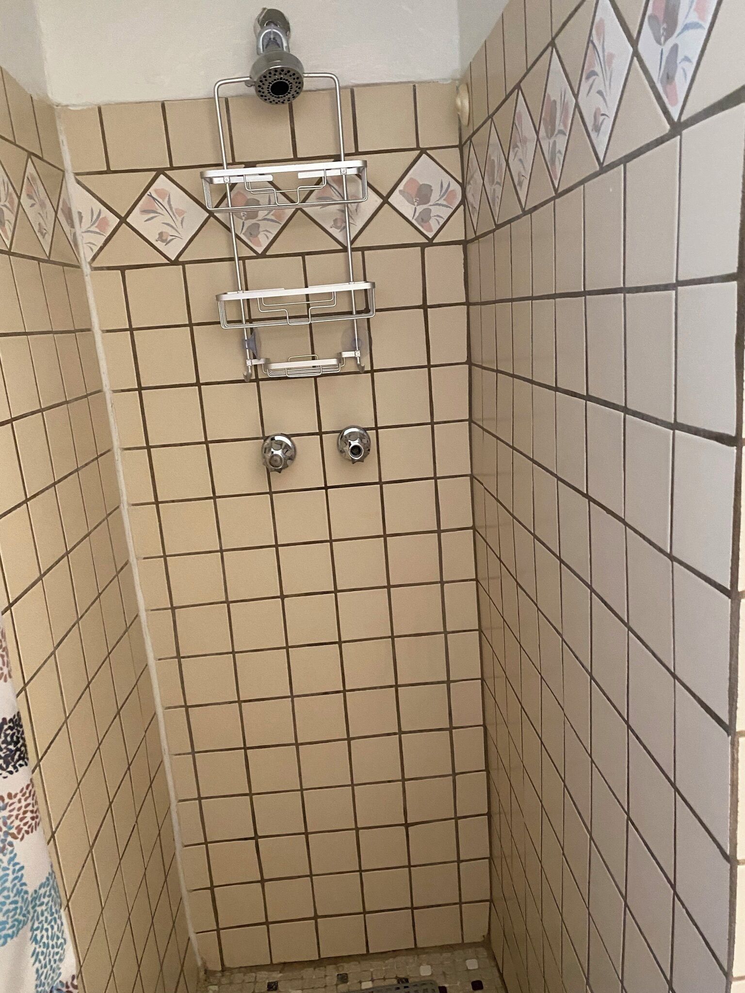 Shower, towels, soap, toilet paper