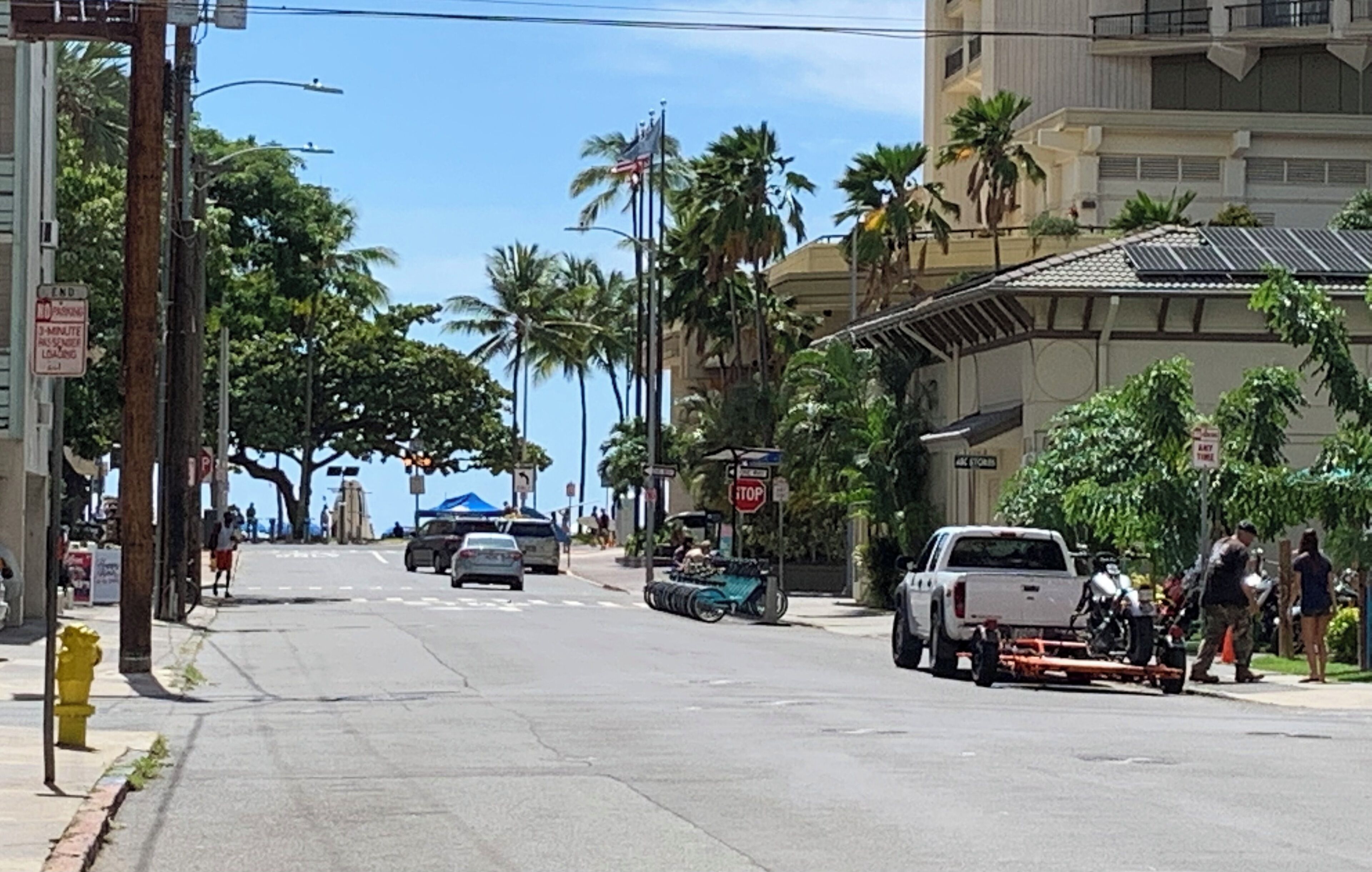 A street with palm trees, a white truck, and a stop sign.