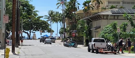 A street with palm trees, a white truck, and a stop sign.