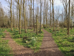 Cottage | Interior - Yewberrie Yurt (Penrith)