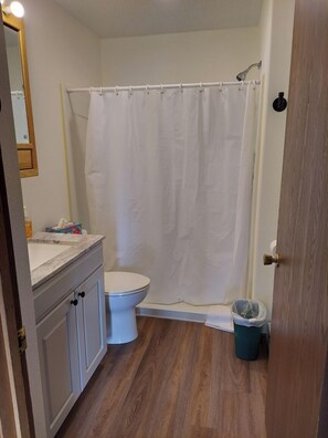 A bathroom with a toilet, a shower curtain, a trash bin, and a vanity with a mirror. - Lakeview Lodge (Devils Lake)