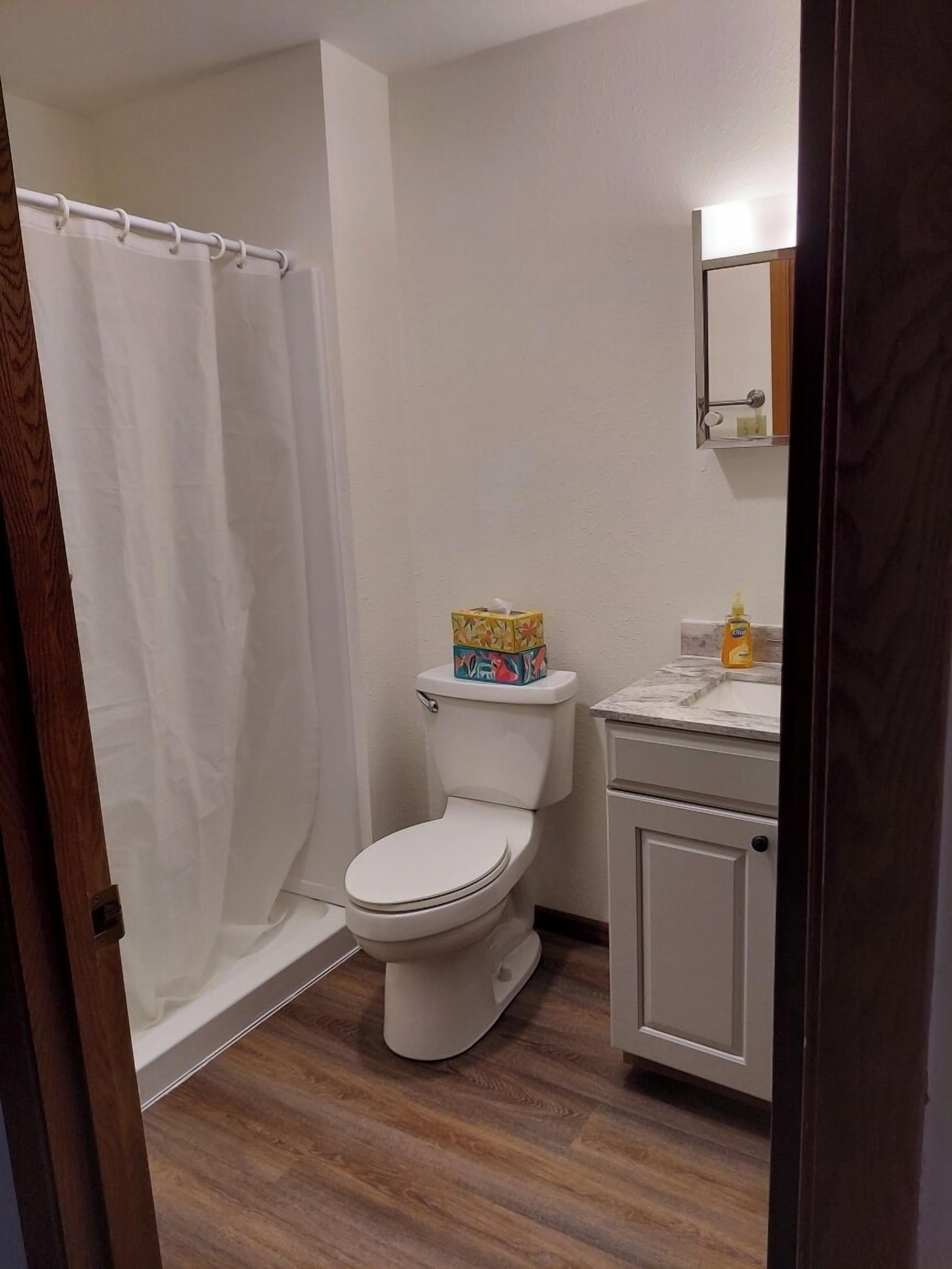 A bathroom with a toilet, a shower curtain, a toilet paper box, and a soap dispenser.