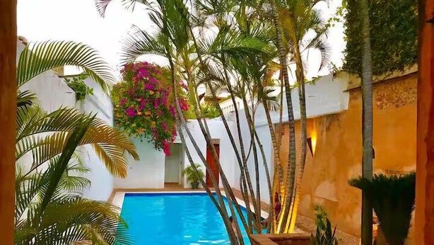 Una piscina rodeada de palmeras y una planta con flores rosadas.