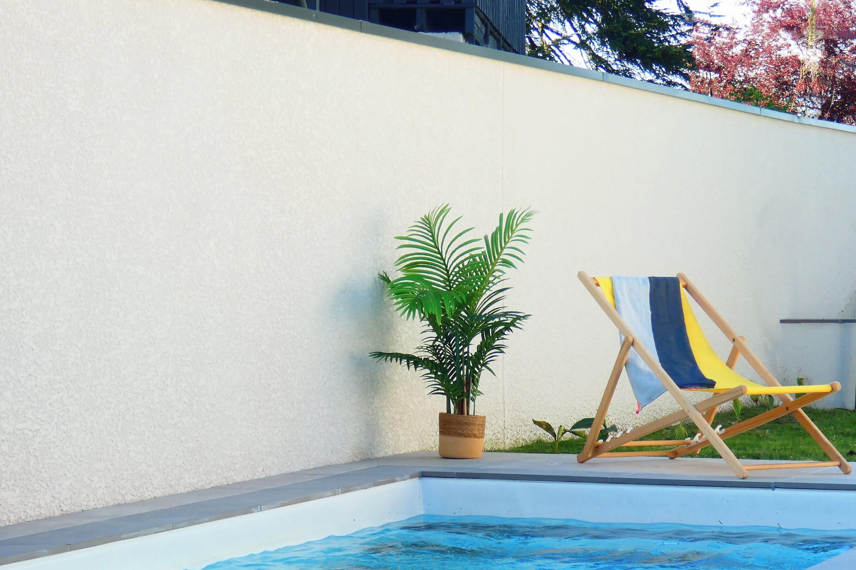 Un espace aménagé au bord de la piscine, avec une plante en pot et une chaise de plage.