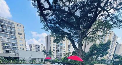 Roble 904 cali