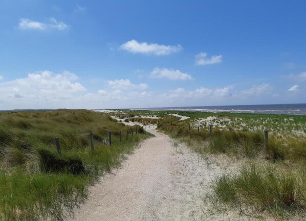 Un sentier de gravier traverse un paysage de dunes, où la végétation est clairsemée et le ciel est dégagé.