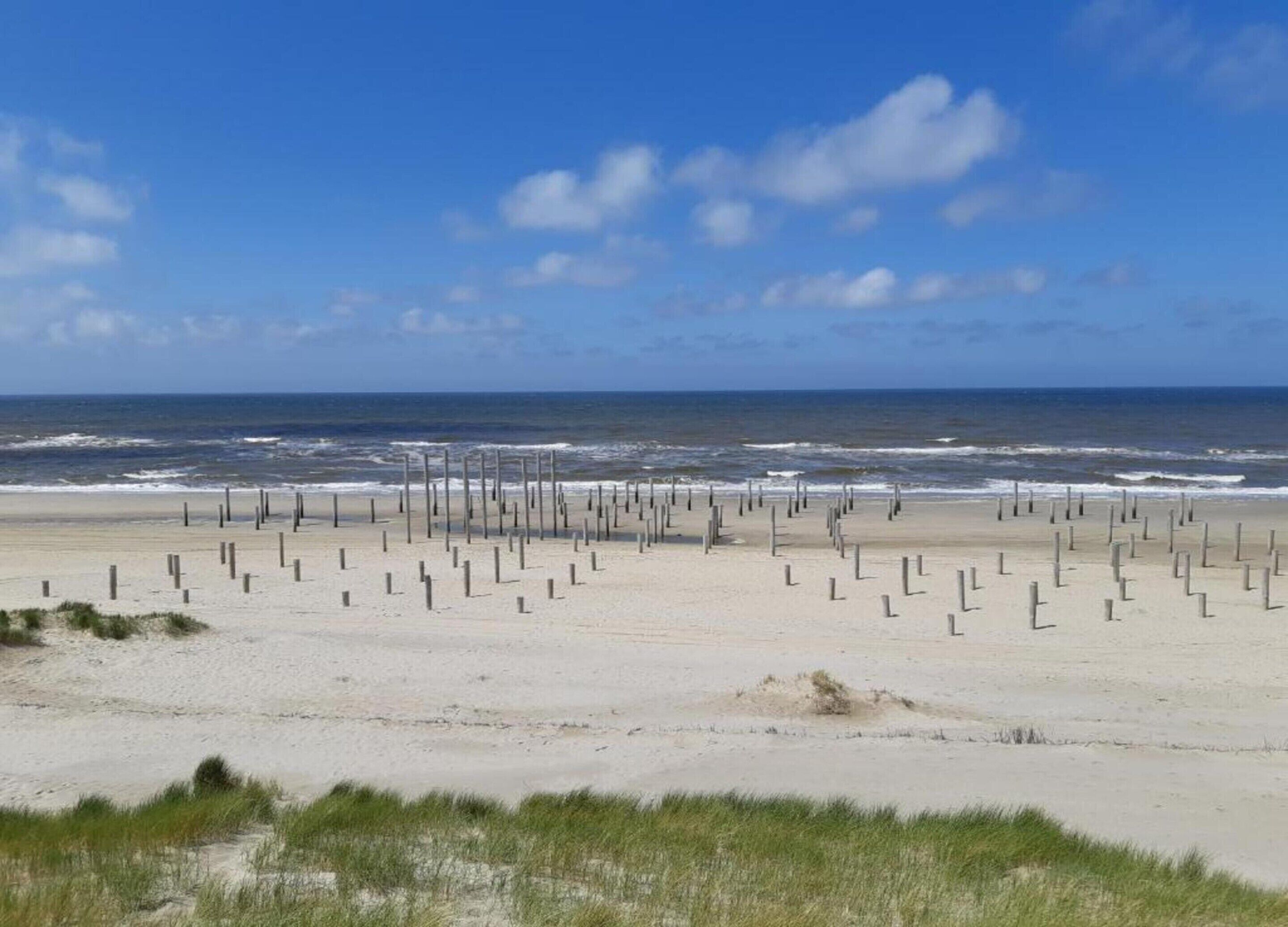 Ein Strand mit in Reihen angeordneten Holzpfählen, einem sandigen Ufer und dem Meer im Hintergrund.