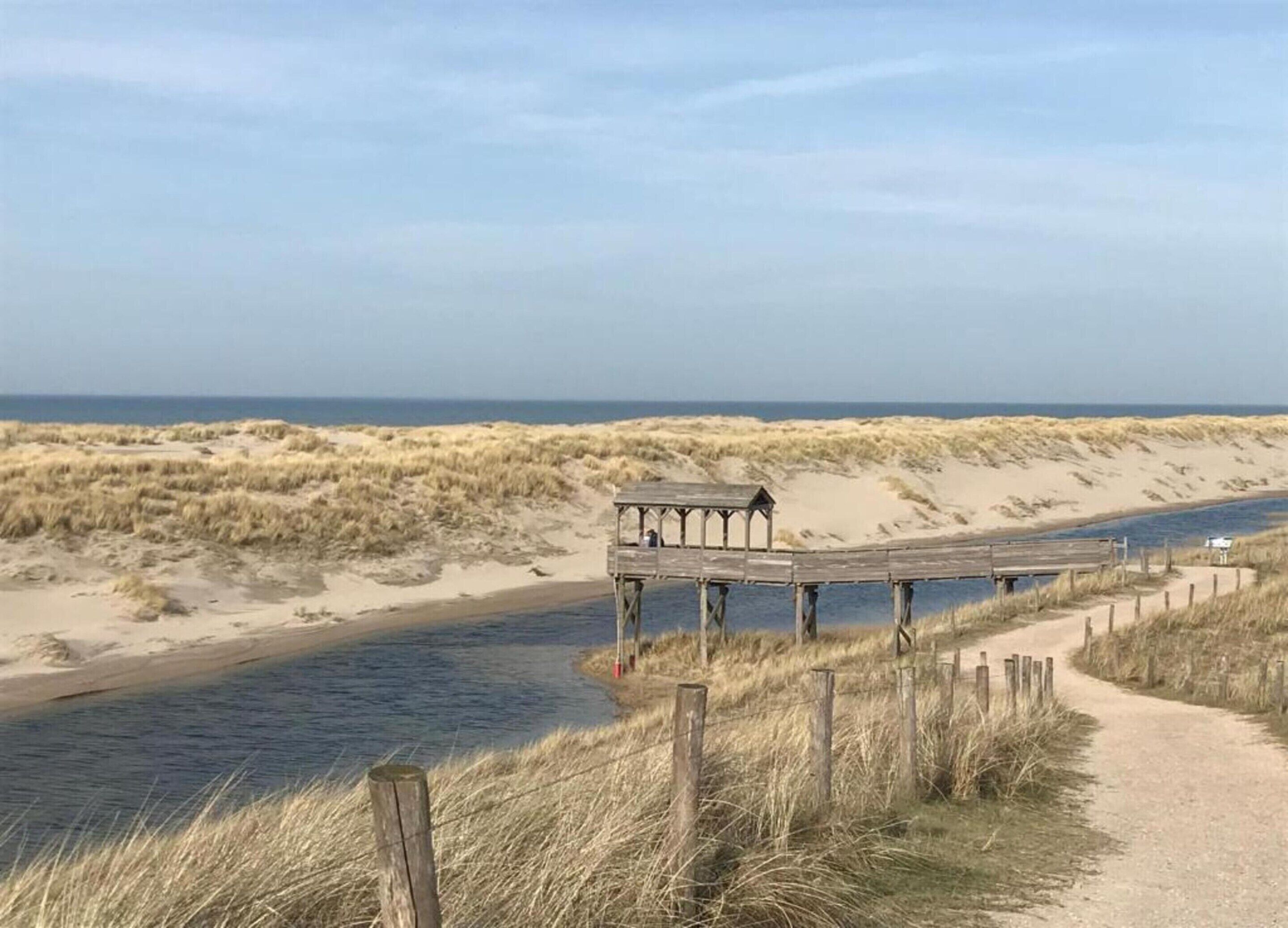 Une jetée en bois s’étendant sur une plage de sable, offrant une vue dégagée sur l’océan.