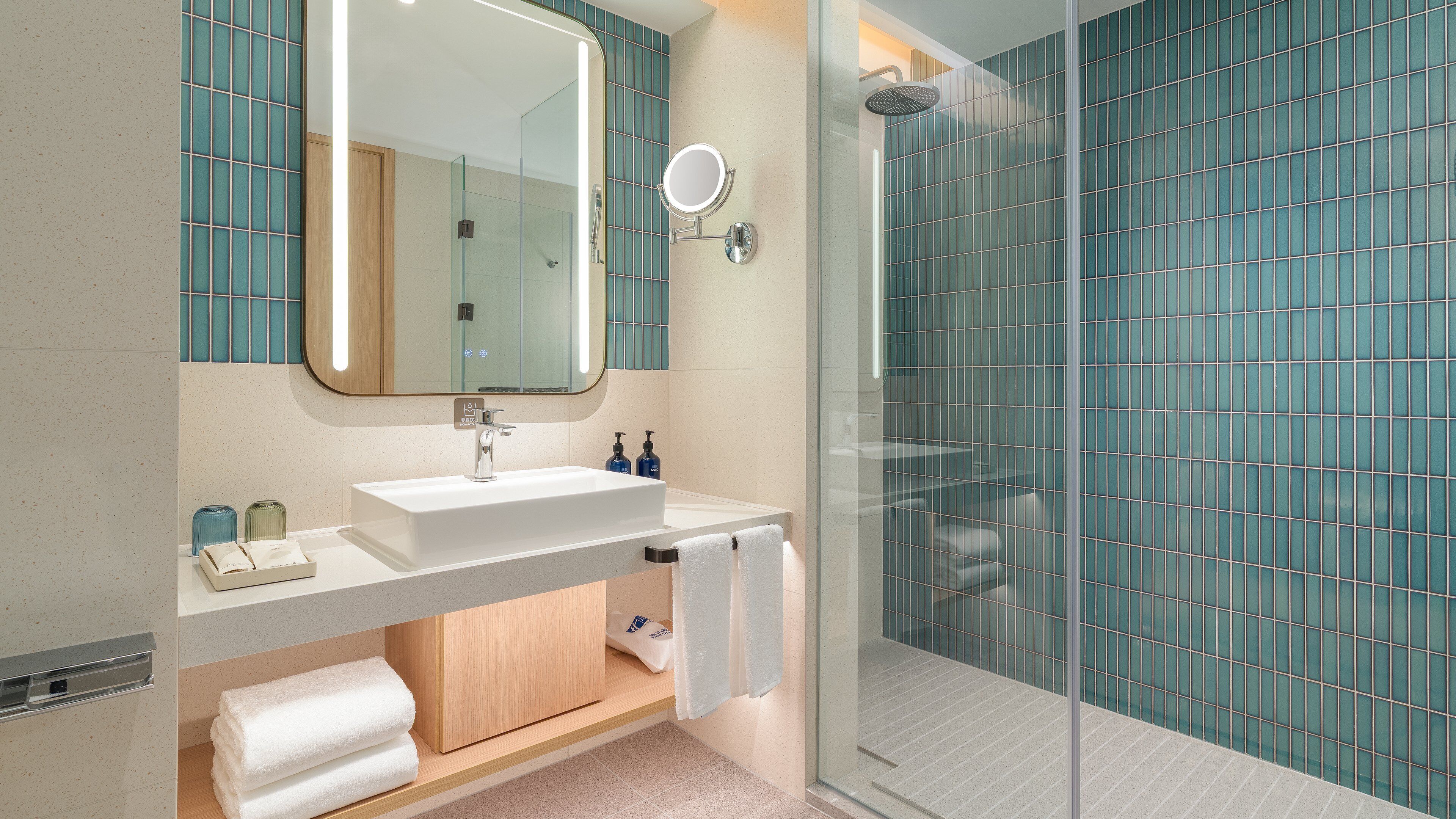 A modern bathroom with a glass shower enclosure, a white sink, and a large mirror.