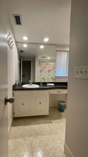 Shower, hair dryer, towels, toilet paper