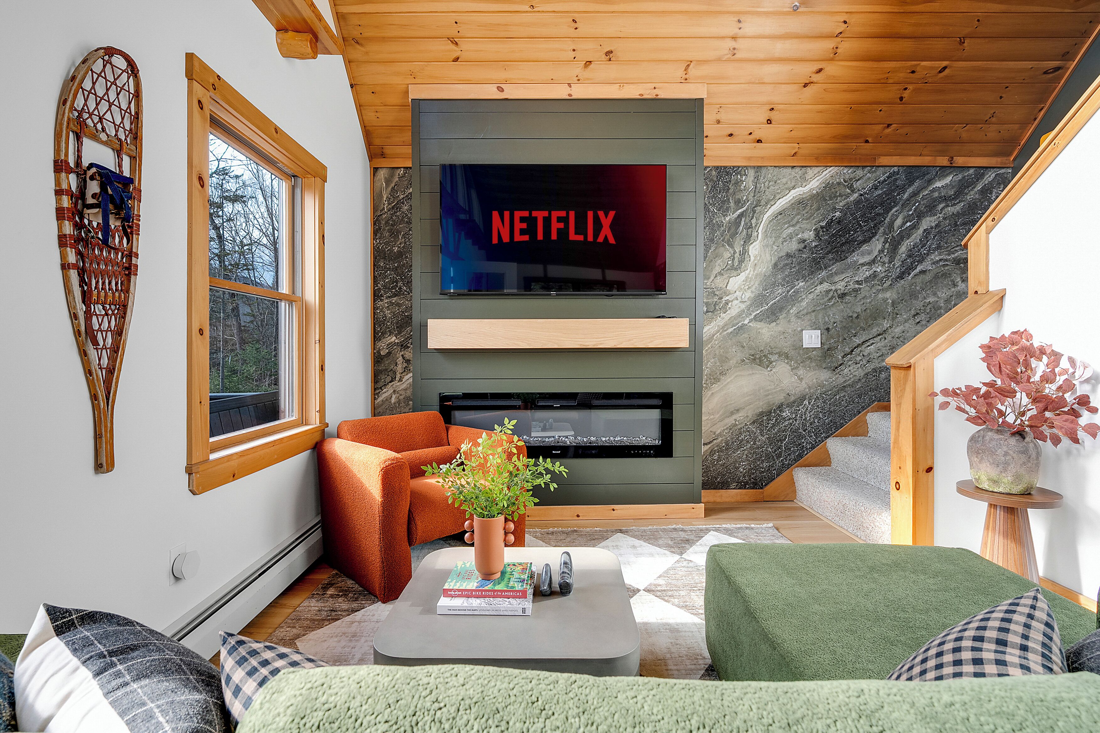 Smart TV, chimenea, videojuegos, libros