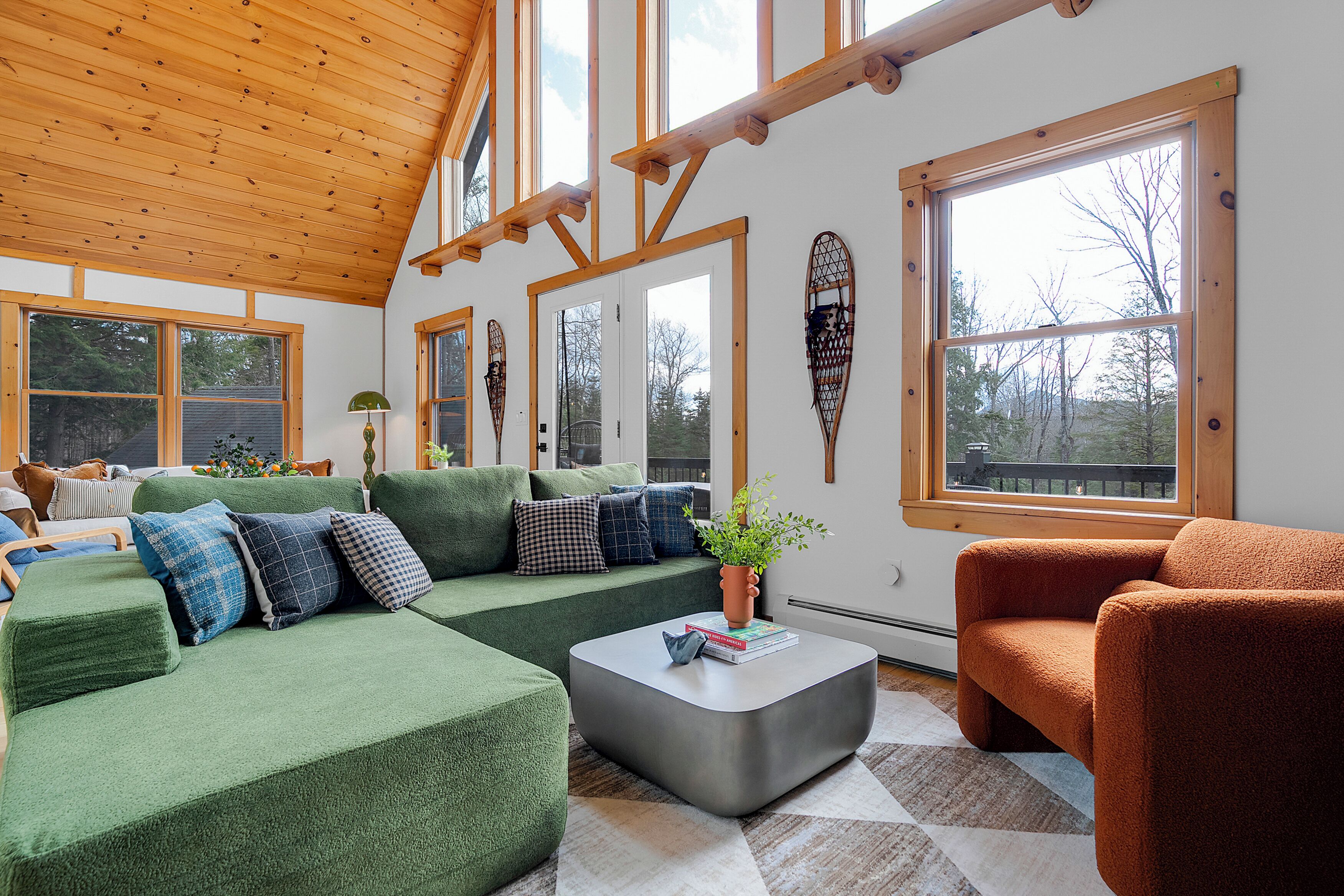 Smart-tv, pejs, videospil, bøger