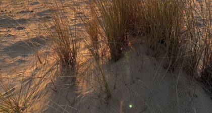 Escapade en Vendée : grande maison avec spa et terrasse à 10 minutes de la mer