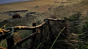 A beach with a wooden fence and driftwood, a calm sea, and a sunset in the background. - BEACH FRONT - Sunflower Beach House Pohara (Pōhara)