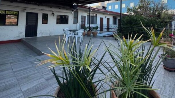 Un espace extérieur aménagé en terrasse, avec des plantes en pot, un coin salon abrité et un bâtiment à la façade bleue en arrière-plan.