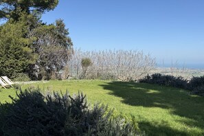 Property grounds -  PP03 - Potenza Picena, wonderful villa with sea view (Potenza Picena)