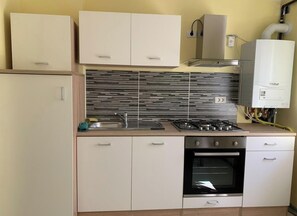 Fridge, stovetop, cookware/dishes/utensils