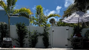 A clear swimming pool with a tiled edge, surrounded by palm trees and a white fence.
