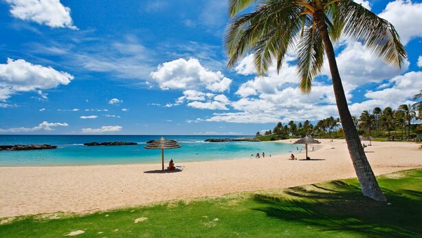 A beach with a clear sky, a palm tree, and a few people. - Bright & Spacious 2br/2ba Villa-Ko'Olina Resort (Kapolei)