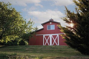 Une grange rouge avec des chevrons blancs en forme de croix, entourée d’arbres et d’herbe.