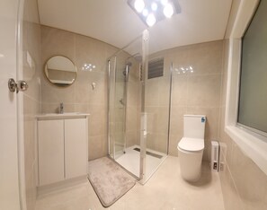 Ducha, secador de pelo, jabón y papel higiénico