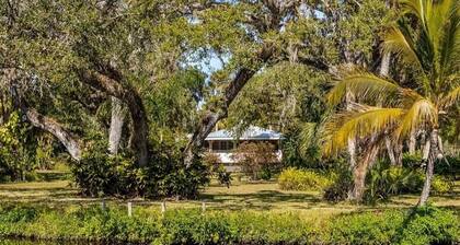 The Pink House on the river - a unique blend of nature and luxury