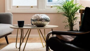 A room with a round table, a chair, a potted plant, and a window with blinds.