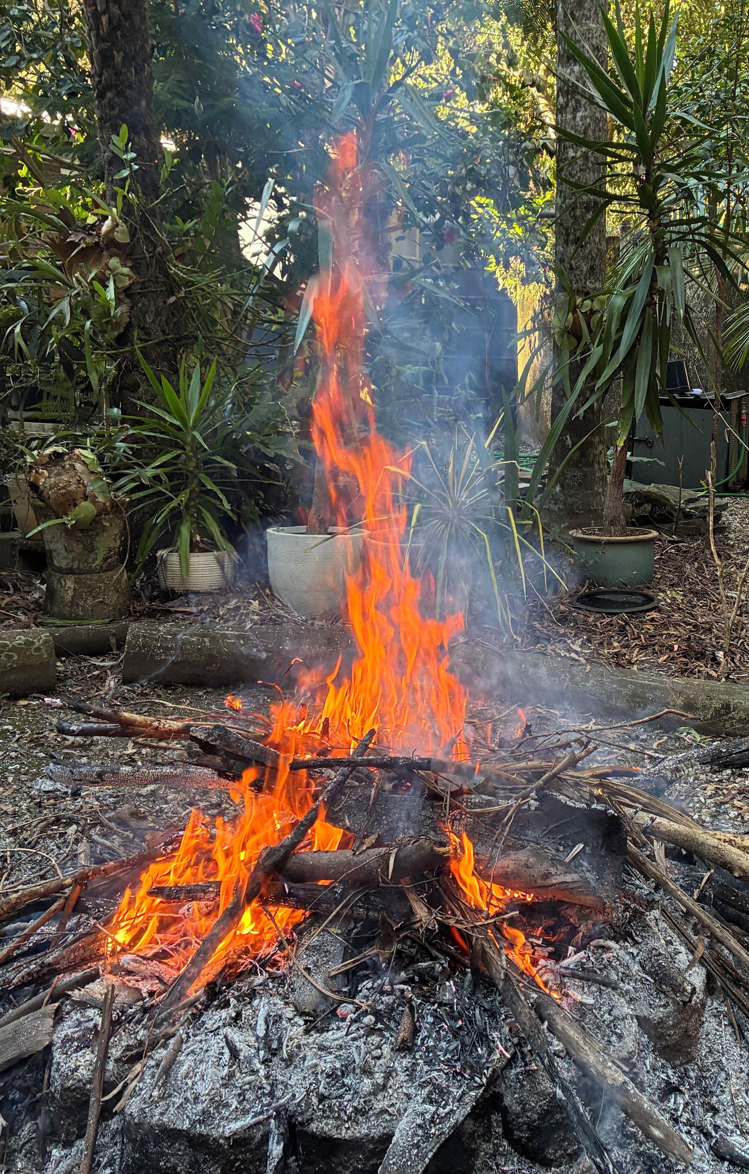 A campfire surrounded by greenery and potted plants.