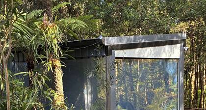 Springbrook Canyon Cabin