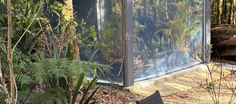 Springbrook Canyon Cabin