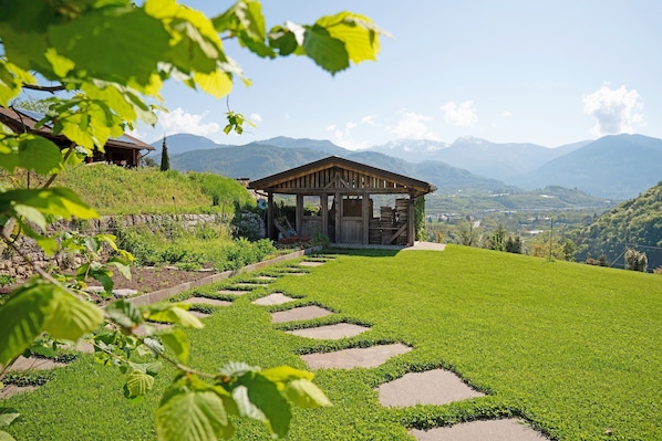A wooden cabin with a glass door, surrounded by a well-maintained lawn and stone stepping stones leading to it.
